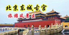 美女被大吉巴c出水中国北京-东城古宫旅游风景区